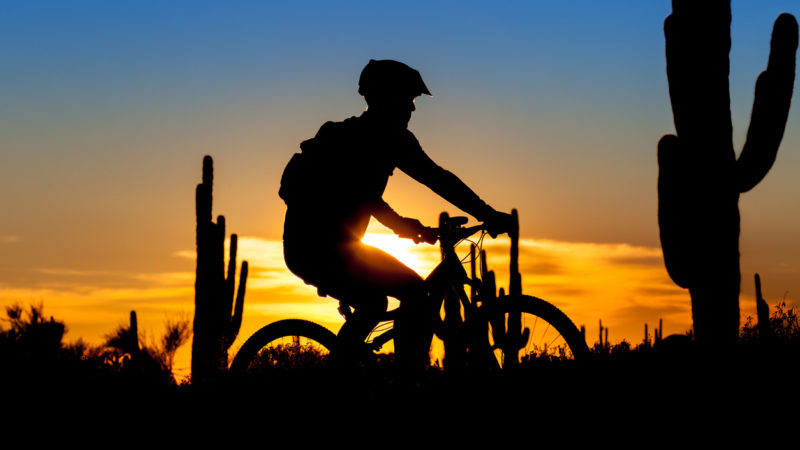 Cycling for back pain